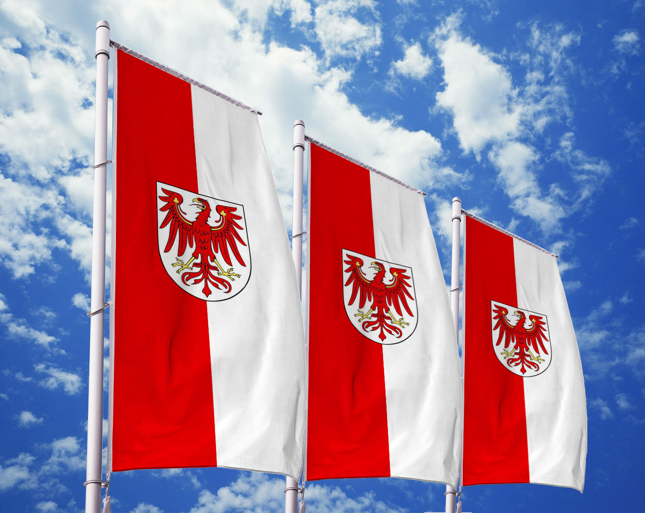 60 x 90 cm Fahne Flagge Brandenburg Hüte dich vor Sturm und Wind Digitaldruck 
