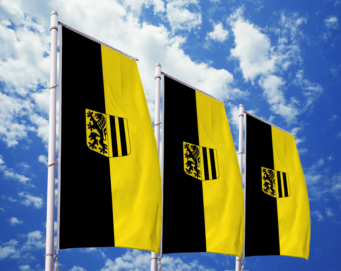 Fahne Dresden Hissflagge 90 x 150 cm Flagge 