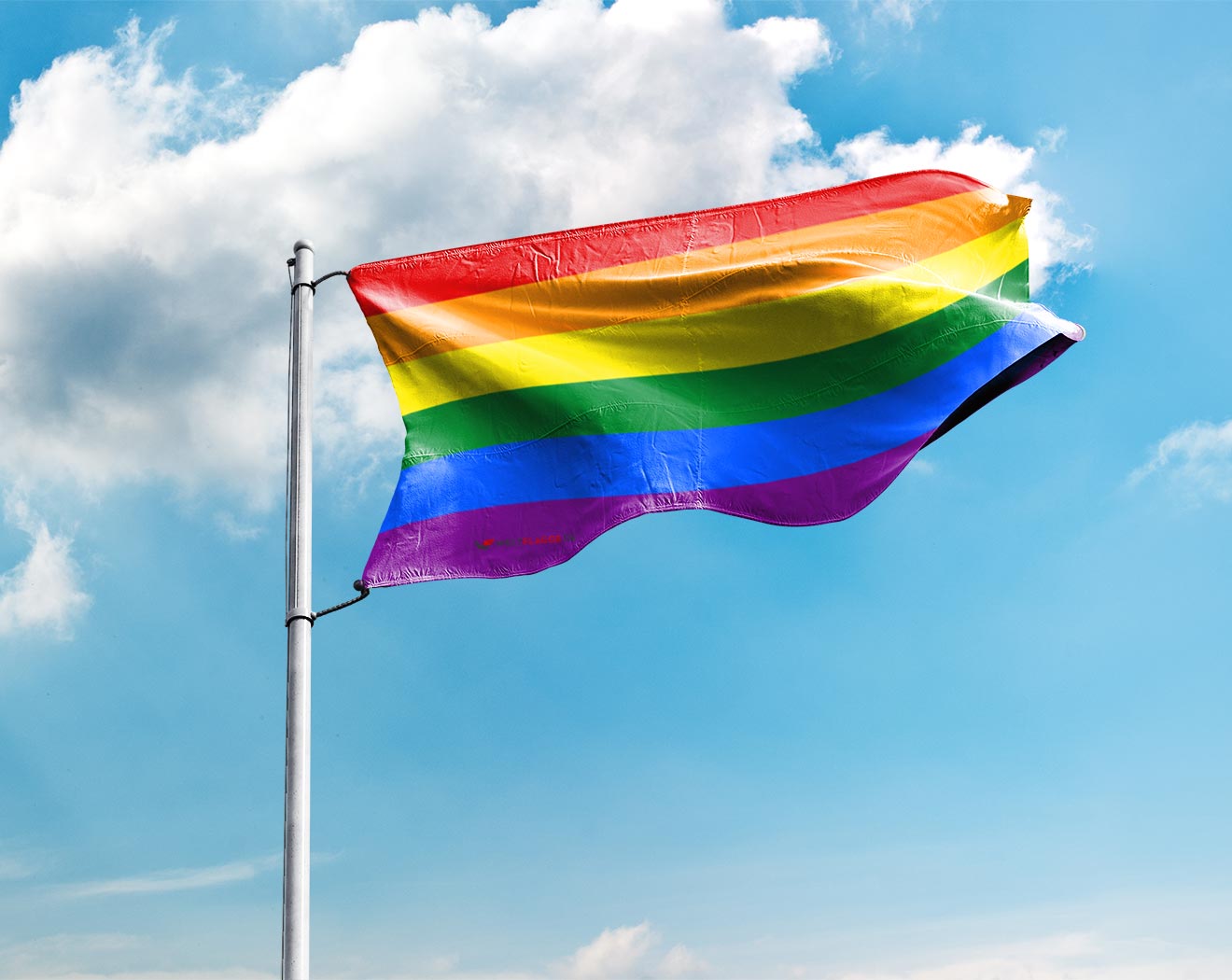 Regenbogenflagge – Stolzfahne – Pride-Flagge online günstig kaufen - Premium Qualität