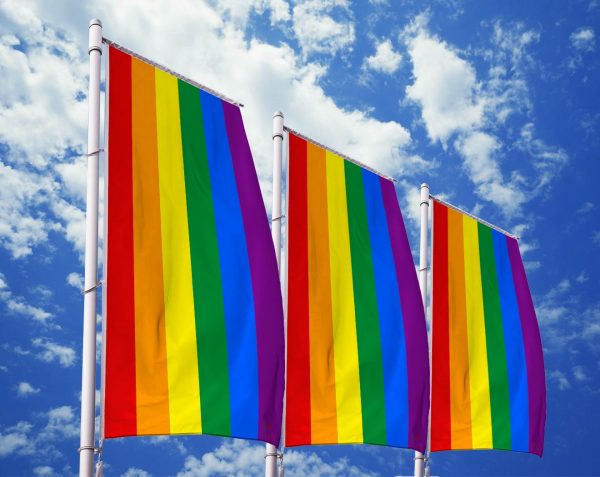 Regenbogenflagge – Stolzfahne - LGBT
