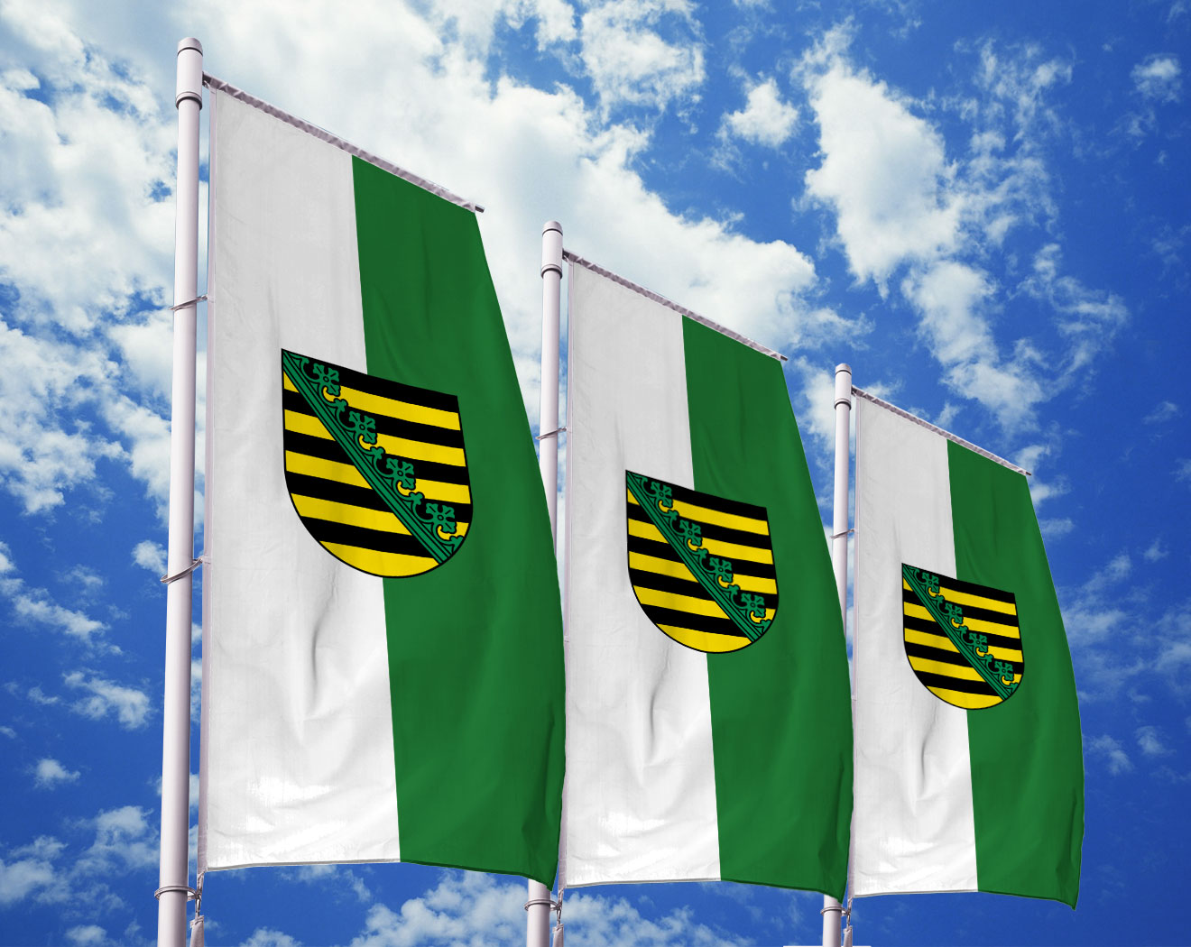 Flagge Fahne Tansania Hissflagge 60 x 90 cm 