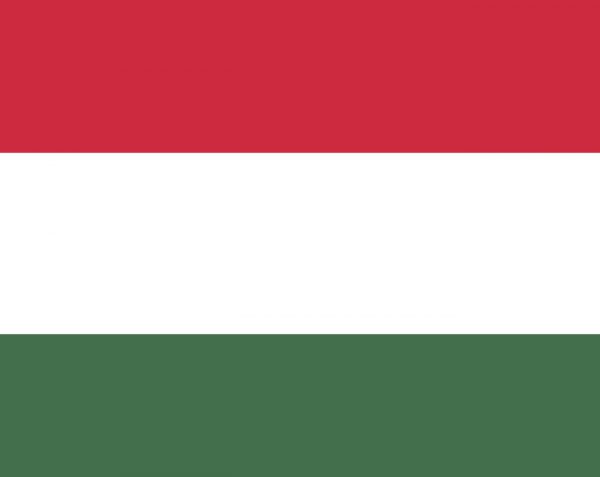 Ungarn mit Wappen Banner ungarische Fahnen Flaggen 30x45cm 
